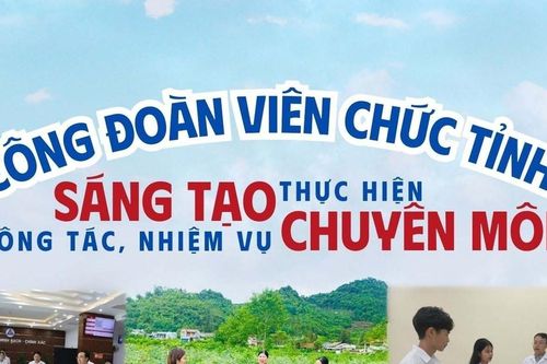 Công đoàn viên chức tỉnh: Sáng tạo thực hiện công tác, nhiệm vụ chuyên môn
