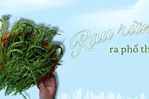 Rau rừng ra phố thị