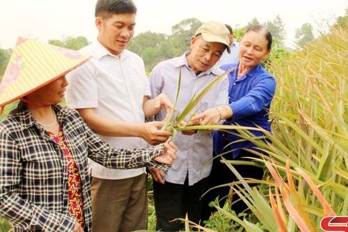 Quỳnh Nhai học và làm theo Bác