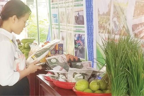 Xây dựng nông thôn mới giàu, đẹp