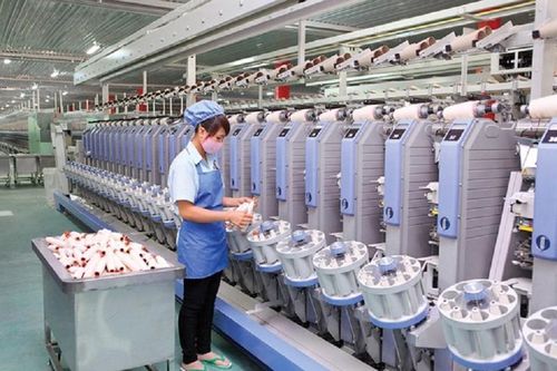 'Xanh' để tiếp cận thị trường FTA tốt hơn