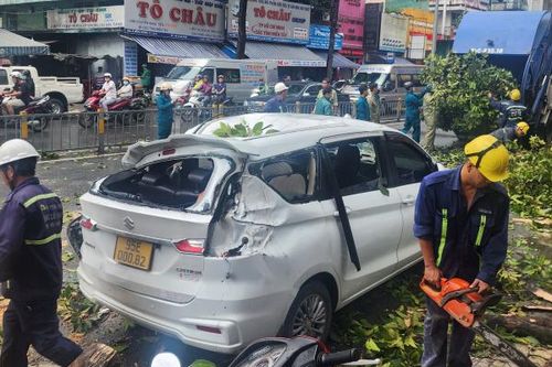 Ngọn cây rơi trong mưa đè bẹp ô tô, 4 người may mắn thoát nạn