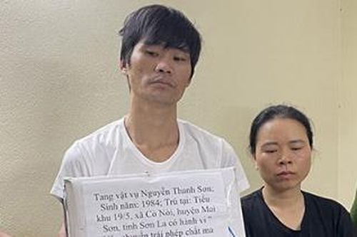 Đang vận chuyển 6.000 viên ma túy thì bị bắt giữ