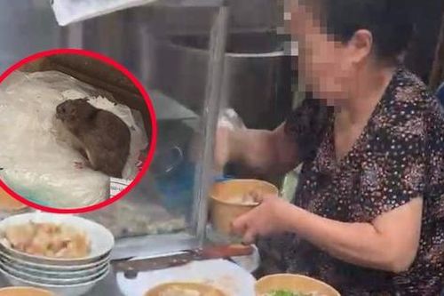 Quán ăn có chuột 'ngồi' chễm chệ trên túi bún ở Hà Nội bị phạt hơn 2 triệu đồng