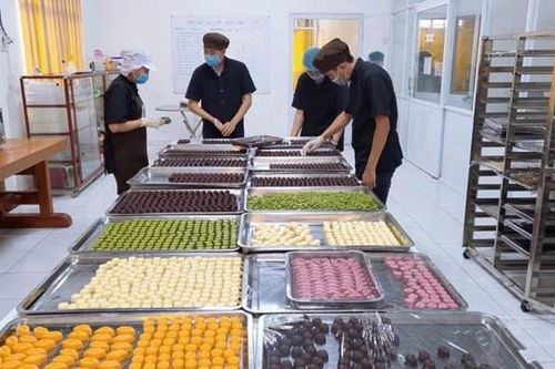 Làm giàu từ cây ca cao hữu cơ