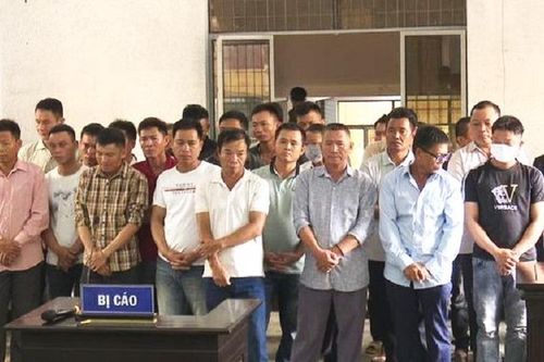 Đắk Lắk: Vụ hủy hoại rừng tại xã Ya Tờ Mốt, 28 đối tượng lĩnh án từ 2 đến 6 năm tù