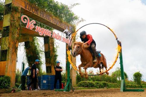 Du khách trầm trồ trước các màn trình diễn ngựa nhảy vòng lửa, vượt chướng ngại vật ở Sa Pa