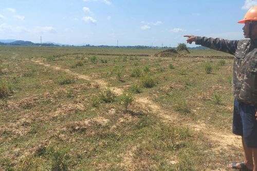 Hạn hán bủa vây Bắc Trung bộ
