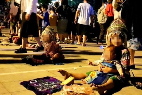 Sa Pa: Tái diễn cảnh chèo kéo, đeo bám khách và ăn xin