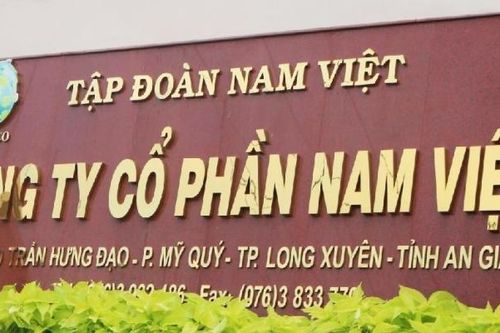 Navifico (NAV) lợi nhuận Quý 2 sụt giảm 33,3%, chậm kế hoạch lợi nhuận năm 2023