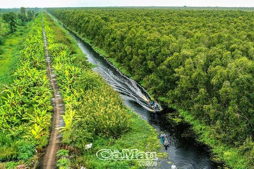 Cà Mau: Vực dậy du lịch U Minh Hạ