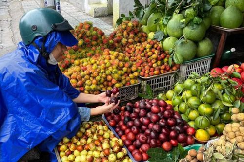 Mận đen, mận tróc nhập khẩu đang bị người bán lập lờ mận Úc, mận Mộc Châu