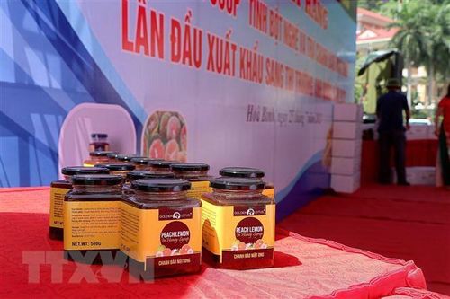 Hòa Bình: Xuất khẩu tinh bột nghệ và trà chanh đào mật ong sang Anh