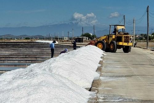 GDP nội tỉnh Ninh Thuận tăng gần 8%, đứng thứ nhất vùng