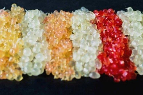 Loại quả lạ đắt như vàng, giới nhà giàu Trung Quốc đua nhau tìm mua