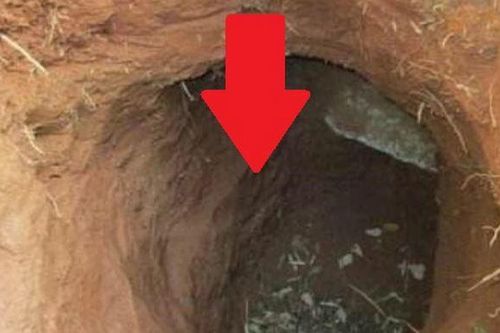 Tìm thấy gói mỳ được sản xuất năm 1994 trong mộ cổ hơn 2.000 năm, chuyên gia hét lớn lập tức gọi cảnh sát