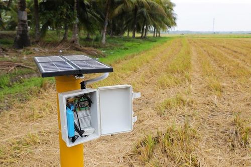 Sáng kiến của nông dân Việt Nam lên báo Tây: Chỉ cần ở nhà cũng biết lượng nước ở ruộng
