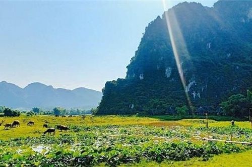 Hòa Bình cảnh báo giao dịch tại 55 dự án bất động sản
