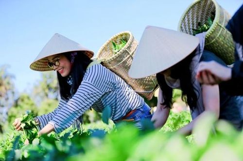 Du lịch nông nghiệp, du lịch nông thôn: Cần đi tìm 'chìa khóa' chung