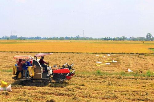 An Giang tái cơ cấu nền kinh tế, hướng đến phát triển bền vững