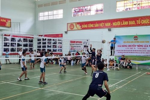 Hấp dẫn Giải Bóng chuyền 'Bông lúa vàng'