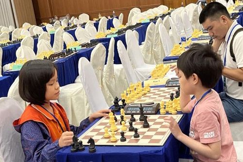 Lào Cai đón 'mưa' huy chương tại Giải vô địch Cờ vua trẻ quốc gia
