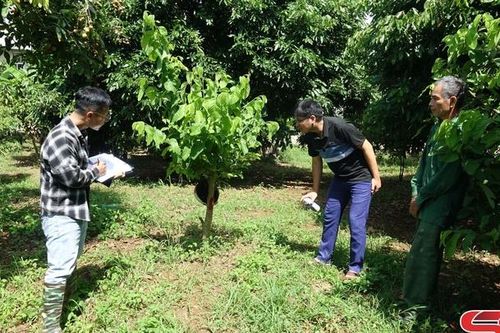 Đảng bộ thị trấn Hát Lót đưa nghị quyết vào cuộc sống