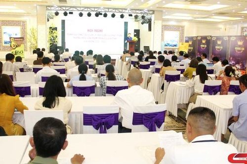 Quản lý, xây dựng và phát triển thương hiệu sản phẩm