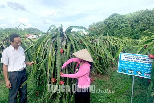 Thách thức trong xây dựng nông thôn mới nâng cao