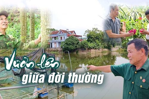 Vươn lên giữa đời thường