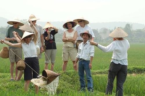 'Mở đường' để HTX phát triển du lịch nông nghiệp
