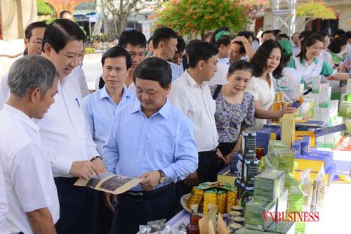 Phát huy thế mạnh của HTX trong kinh tế dược liệu