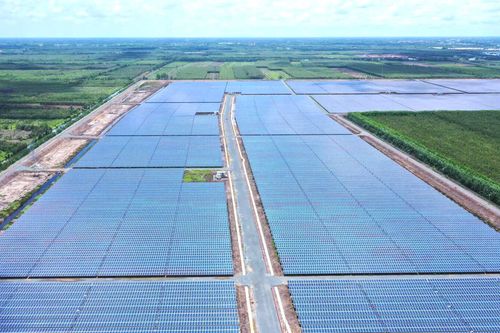 Bamboo Capital tiếp tục thoái bớt vốn tại CTCP Phát triển Nguyễn Hoàng