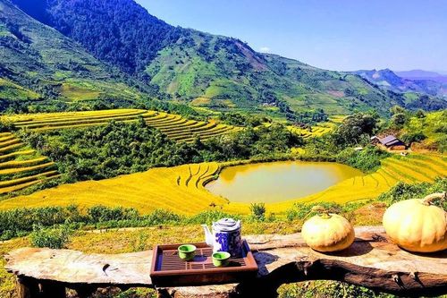 Nông thôn Việt 'thay da đổi thịt' từ khởi nghiệp du lịch nông nghiệp