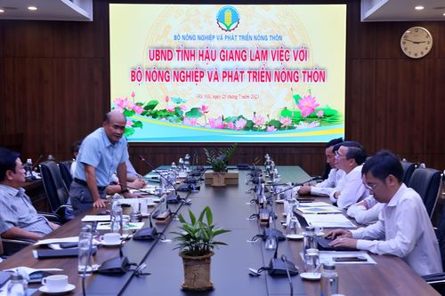 Festival Lúa gạo Hậu Giang: Định vị hạt gạo Việt trong tăng trưởng xanh