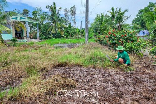 Nâng cao giá trị, năng suất vụ lúa - tôm
