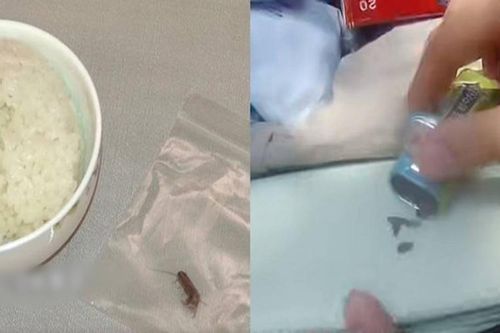 Mang theo 20 con gián, gã đàn ông 'ăn chùa' và vòi tiền hàng loạt nhà hàng