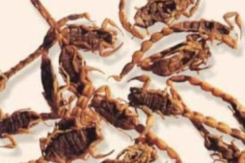 3 bài thuốc điều trị tai biến mạch máu não