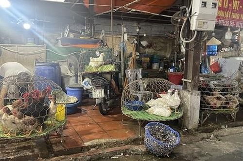 Mất an toàn thực phẩm từ giết mổ gia cầm tự phát