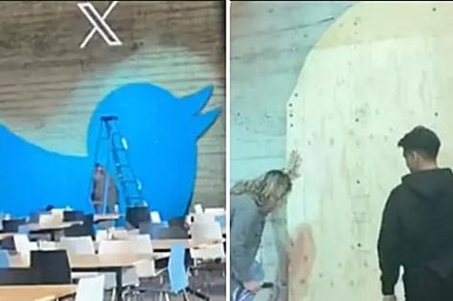 Video con chim xanh ở văn phòng Twitter bị gỡ bỏ theo lệnh của Elon Musk