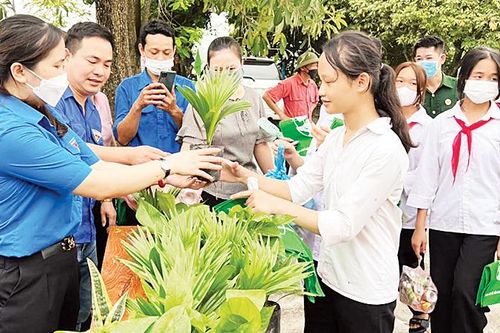 Chung tay xử lý rác thải và chống rác thải nhựa
