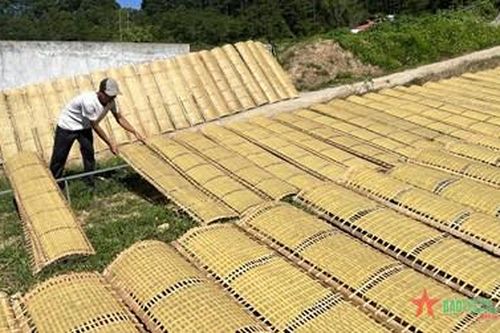 Đậm đà hương vị bánh tráng mắm ruốc Lạc Lâm