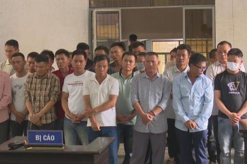 Khi rừng… lên tiếng!
