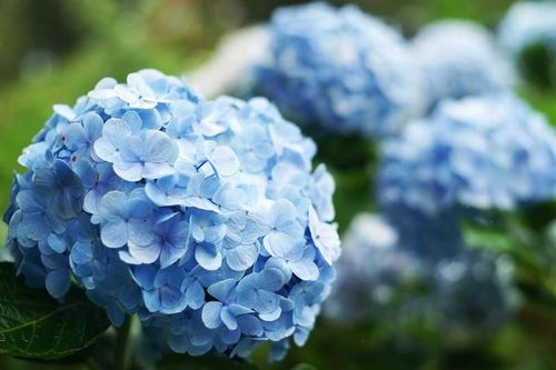 Ai sinh vào 5 ngày Âm lịch này đến tuổi trung niên mưa lộc