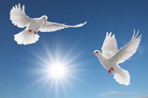 Truyện ngắn: Hồi ức hòa bình