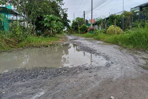Mong sớm nâng cấp hệ thống thoát nước khu dân cư vượt lũ ở Vĩnh Long