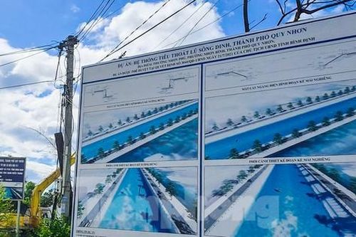 Xảy ra sai phạm trong xác nhận nguồn gốc đất, xét giao đất tại dự án 300 tỷ đồng ở Bình Định