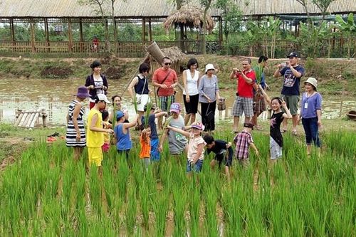 Hà Nội: Thúc đẩy du lịch nông nghiệp, nông thôn
