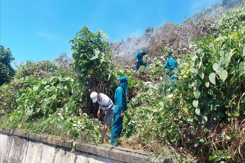 Đà Nẵng: Kịp thời khống chế vụ cháy rừng Hải Vân