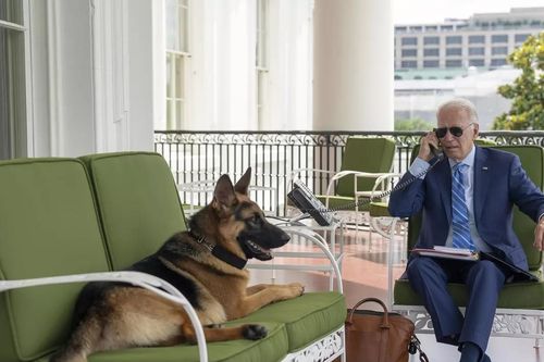 Nhà Trắng lý giải vì sao thú cưng của ông Biden hung dữ